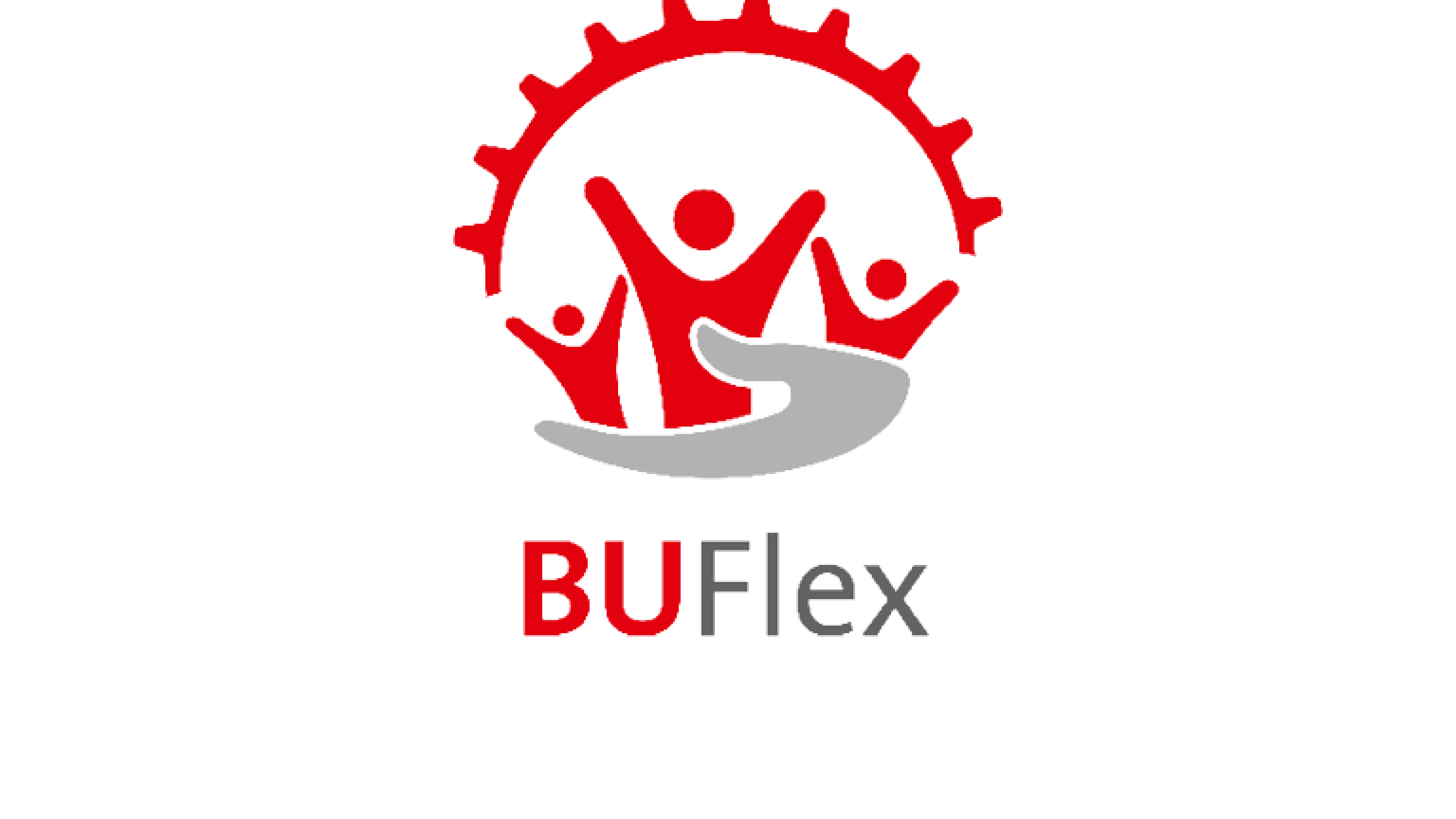 Logo BU Flex