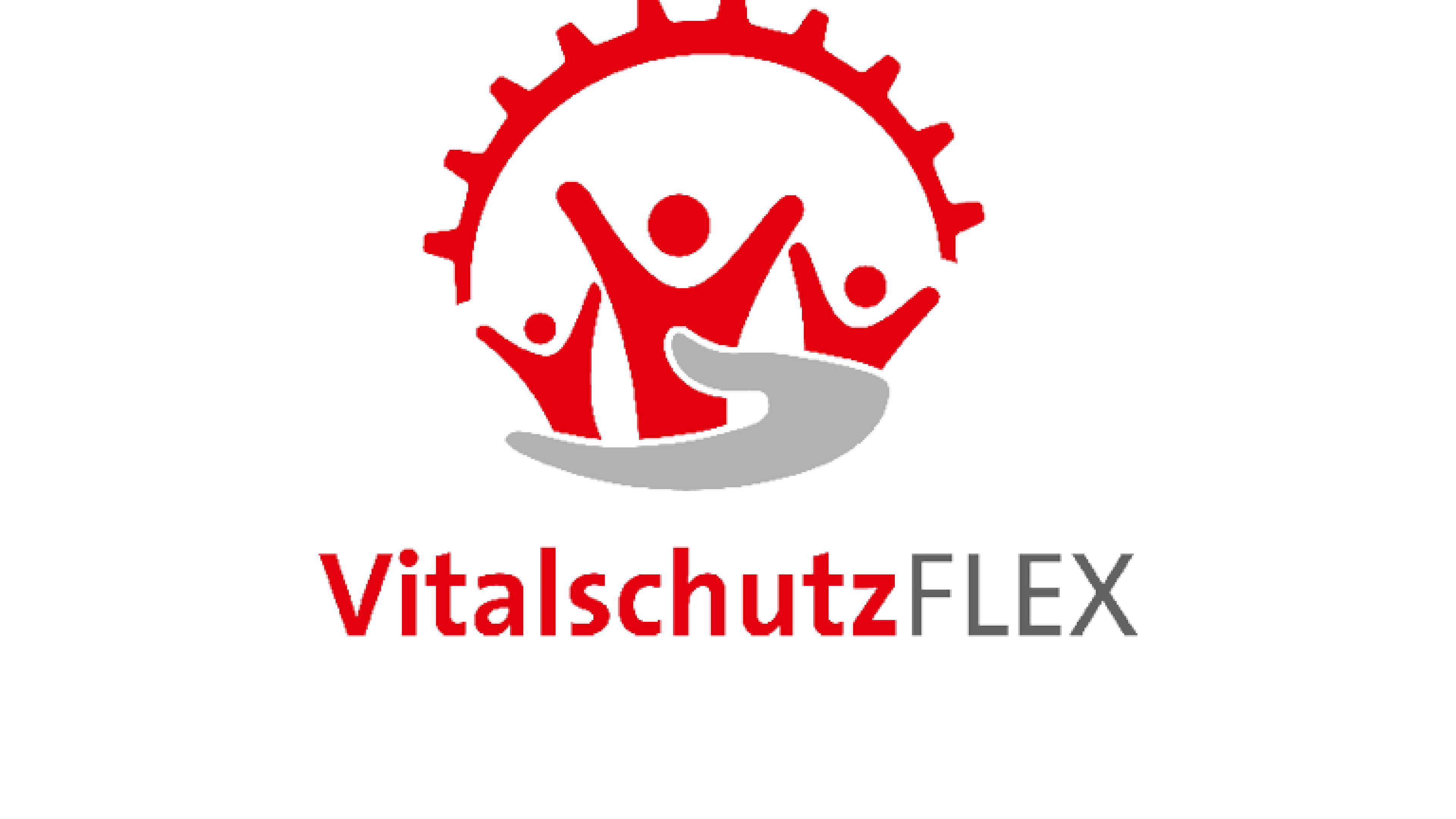 Logo Vitalschutz Flex